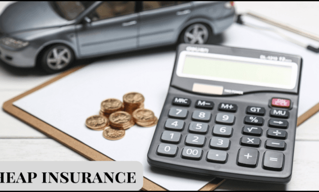 cheap-insurance-1024×536