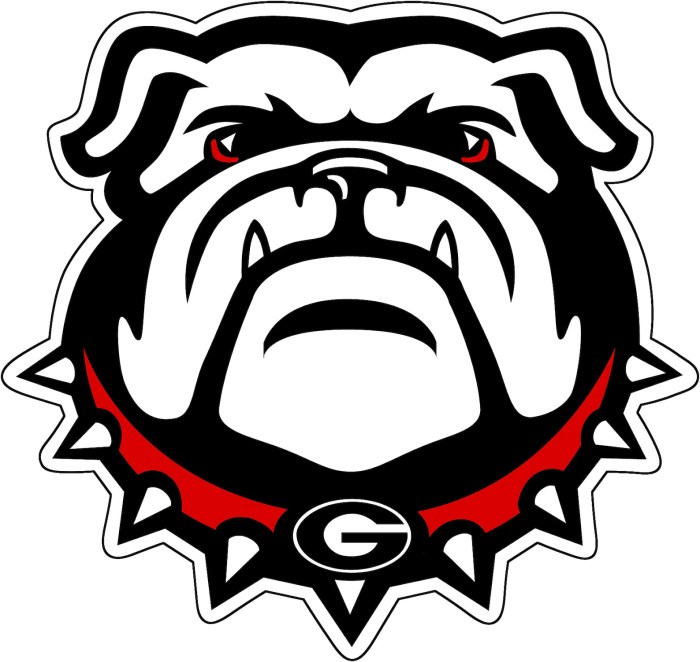 Georgia bulldog outdoor decor