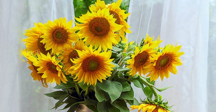 Sunflower decor for outdoors