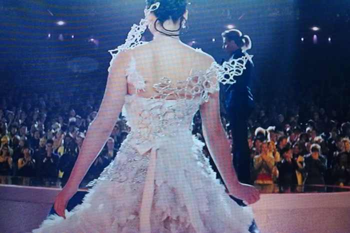 Katniss Wedding Dress Book A Panem Romance