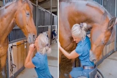 Young woman was hospitalized after being pe …See more