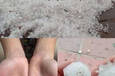Giant hail recorded Tuesday evening in the town of… See more
