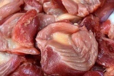 Did you know that if you eat chicken gizzards, you don’t need to take…