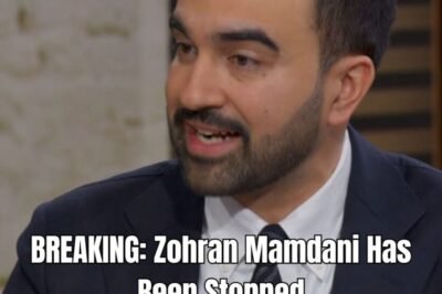 Governor Hochul Halts Mamdani’s Ambitious $700 Million Plan for Free Public Transit !