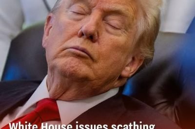 White House Responds After Trump Was Seen “Passed Out” During Meeting