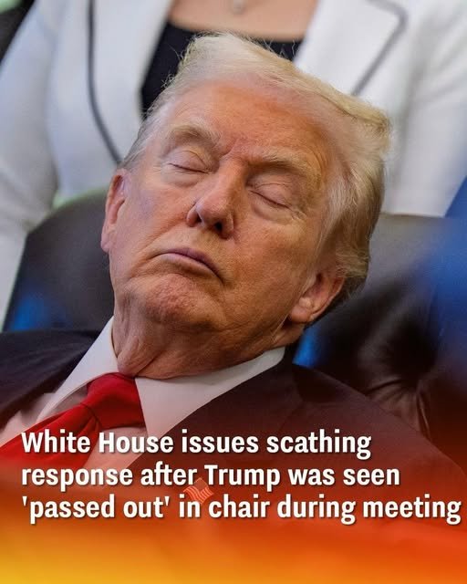 White House Responds After Trump Was Seen “Passed Out” During Meeting