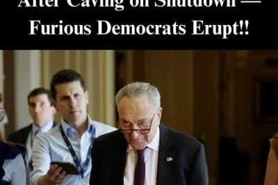 Senate Democrats Cave Again as Party Leaders Rage Against Schumer