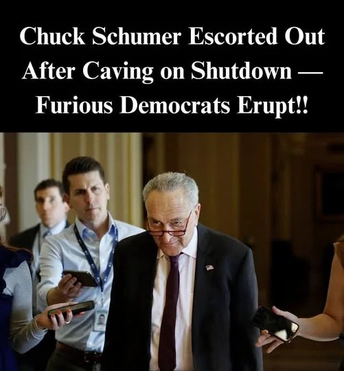 Senate Democrats Cave Again as Party Leaders Rage Against Schumer