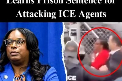 Big Update in Case On House Democrat Charged With Striking ICE Agent