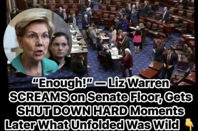 Dem Sen. Warren Makes Big Announcement About Her Political Future