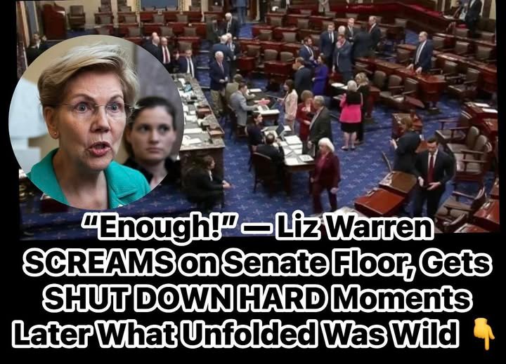 Dem Sen. Warren Makes Big Announcement About Her Political Future