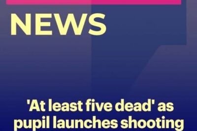 Twelve dead including famous singer in plane crash off remote island