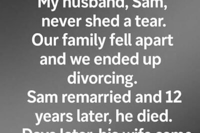 My Husband Filed for Divorce Right After I Inherited My Mom’s Fortune