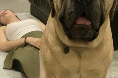 J0ven was hospitalized aft