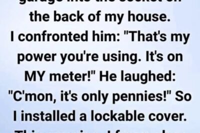 What I Found Plugged Into My House and What It Taught Me