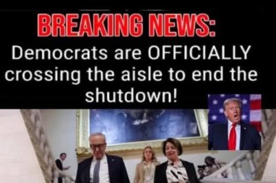 Senate Confirms Trump’s Pick To Join Liberal-Majority US Appeals Court