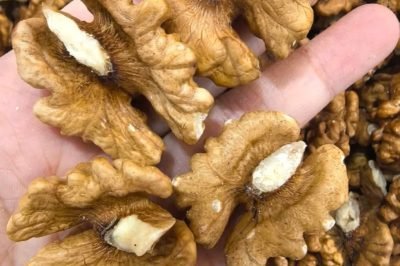 Doctors reveal that eating walnuts causes