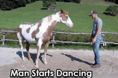 Man Begins Dancing, but His Horse Takes Center Stage