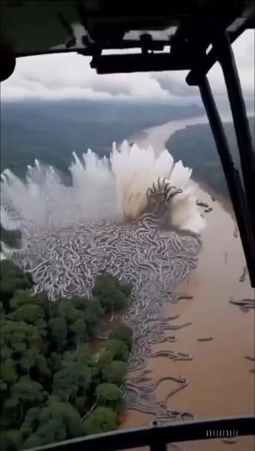 Unbelievable footage from the Amazon