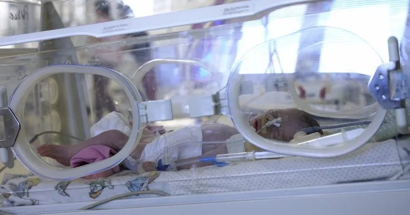 Attorney Who Gave Wife Abortion-Inducing Drugs Learns His Fate