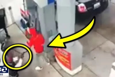 Thieves Try To Rob Man, But He’s A Retired Police Captain With A Gun