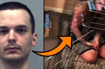 Man Kept Girl As Sex Slave In Dog Cage, Judge Gives Him No Jail Time