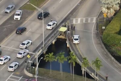 Man’s body found floating in southwest Miami-Dade canal – NBC 6 South Florida