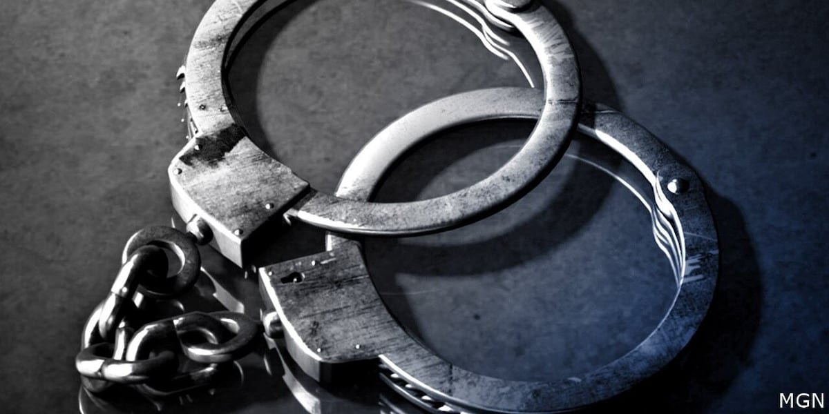 Man arrested after allegedly pointing gun at people