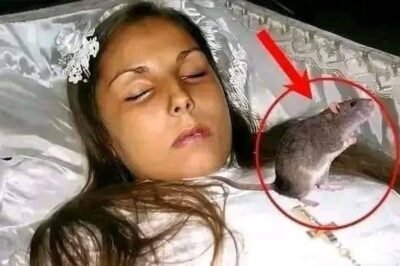 At the funeral the priest discovered that…See more