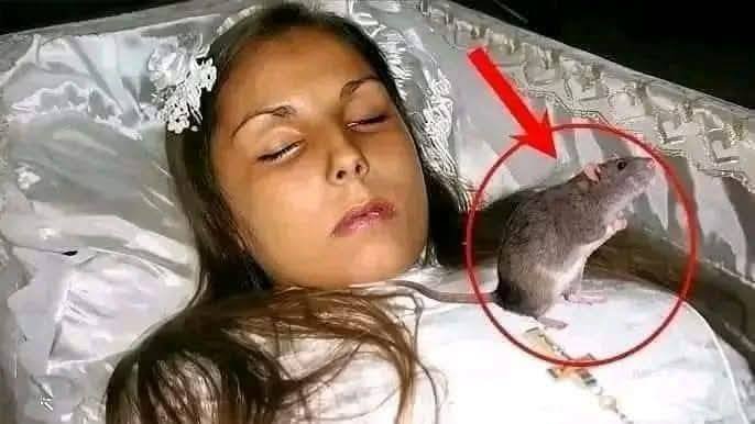 At the funeral the priest discovered that…See more