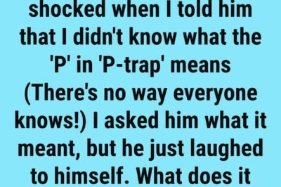 Most People Don’t Know What the ‘P’ in ‘P-Trap’ Really Means