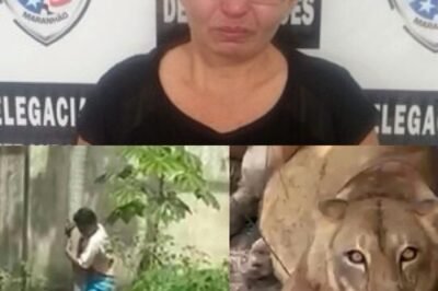 The mother of the 19-year-old just confessed, I was the one who pus… See more