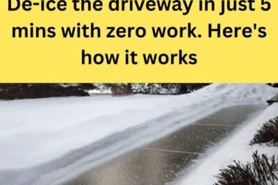 Tips for Safely Clearing Ice from Your Walkways This Winter