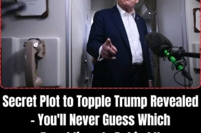 Secret Plot to Topple President Donald Trump Revealed – You’ll Never Guess…