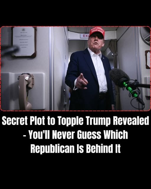 Secret Plot to Topple President Donald Trump Revealed – You’ll Never Guess…