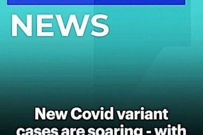 New Covid Variants Nimbus and Stratus Surge Across Populations, Bringing Unusual Symptoms and Raising Concerns Among Health Experts