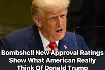 Supreme Court Steps In and Delivers Massive 8-1 Ruling