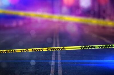 Driver killed in Orangeburg County crash