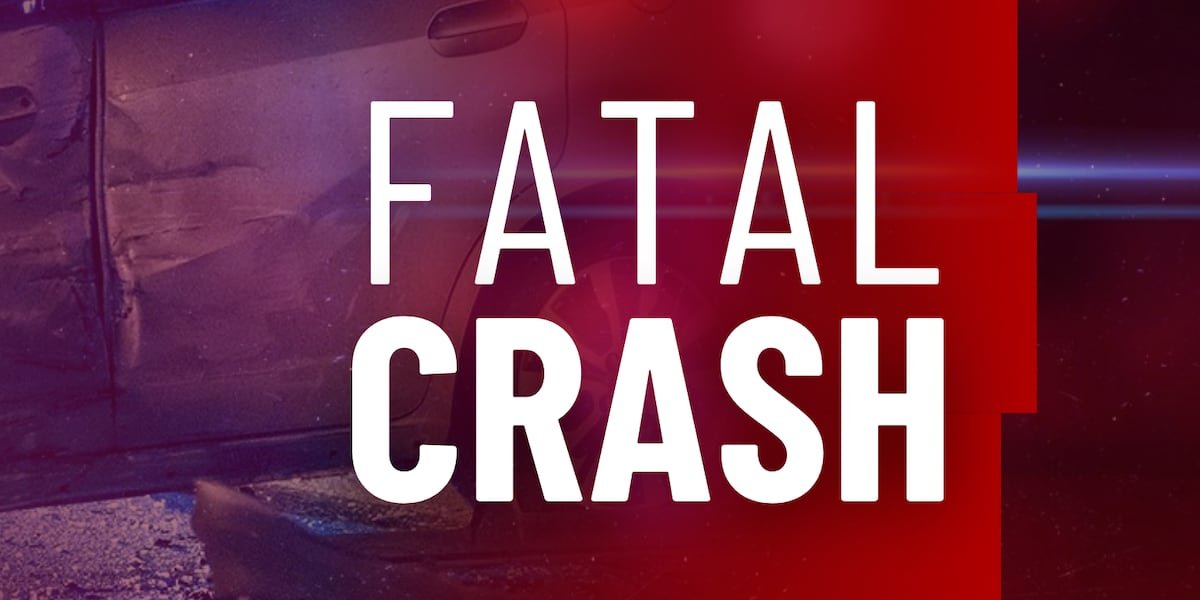 Troopers investigate deadly single-vehicle crash in East Feliciana Parish
