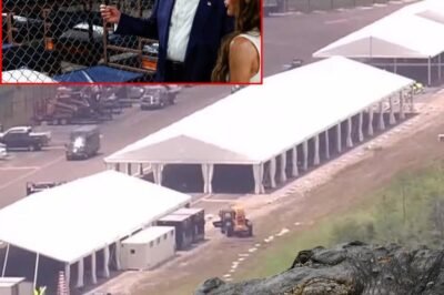 WATCH: A Look into ‘Alligator Alcatraz’ Illegal Alien Detention Facility