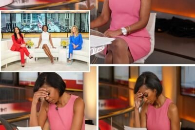OFF AIR NOW!” — After 17 years of never missing a beat, Harris Faulkner suddenly …