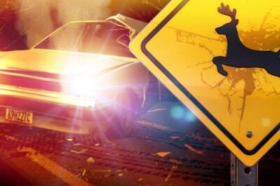 Four injured in SUV-deer rollover crash Monday night on I-70 in Dickinson County