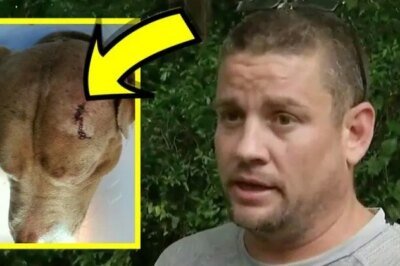 4 Florida Thugs Shot Dog Upon Invading Home, Consequence Is Severe