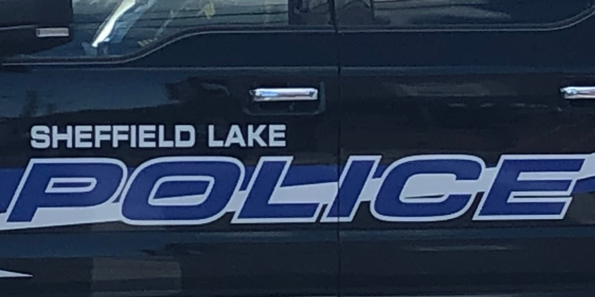 Several suspects on the loose after a shooting in Sheffield Lake