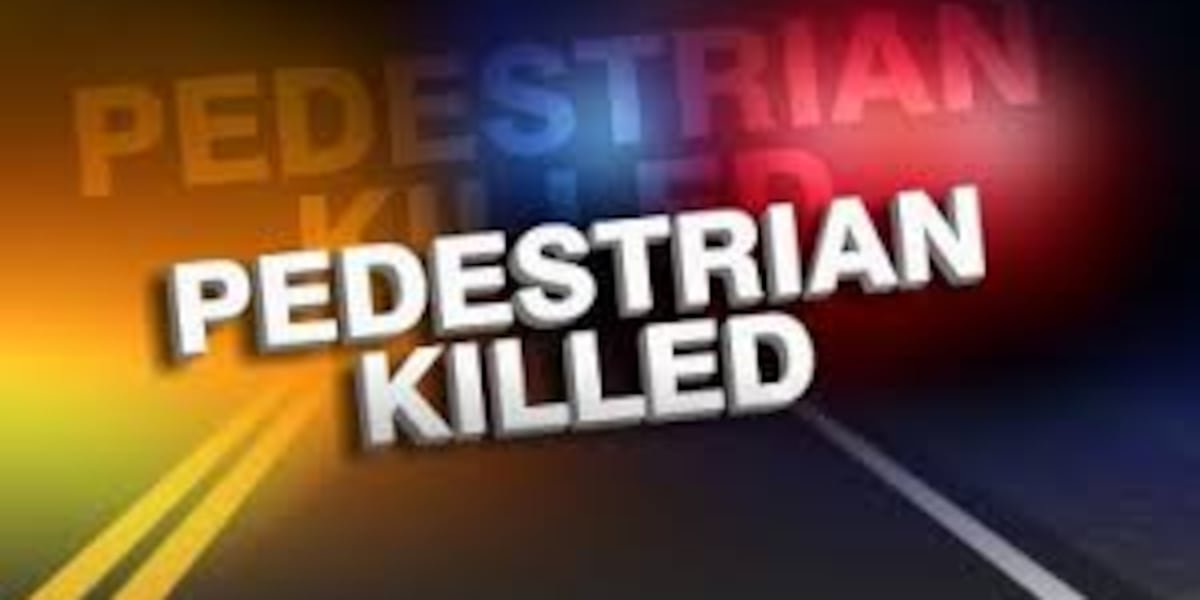 Pedestrian killed Sunday in southeast Kansas crash
