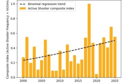 How many school shootings in 2025?