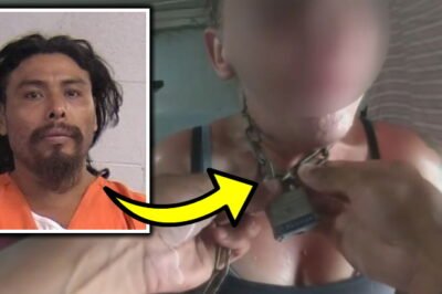 Disturbing Video: Woman’s Screams Lead Cops To Horrific Scene