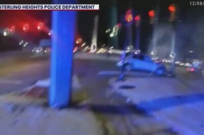 Sterling Heights police save woman from flaming car crash