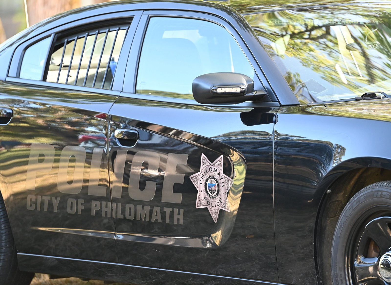 Philomath Police Log: Responses include assaults, arrests, winter crashes