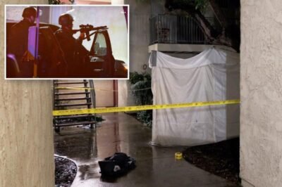 Off-duty ICE agent gunned down ‘active shooter’ neighbor